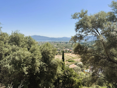 Apolpaina 002.jpg